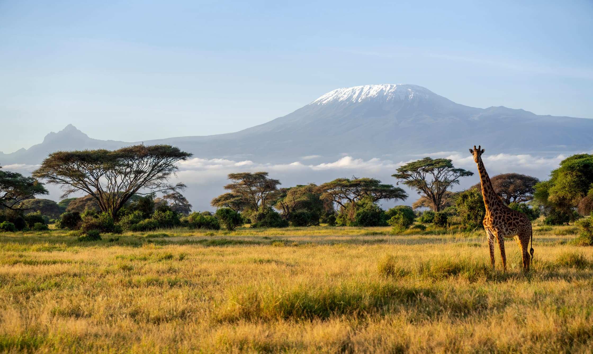 Mount Kilimanjaro above East African landscape
