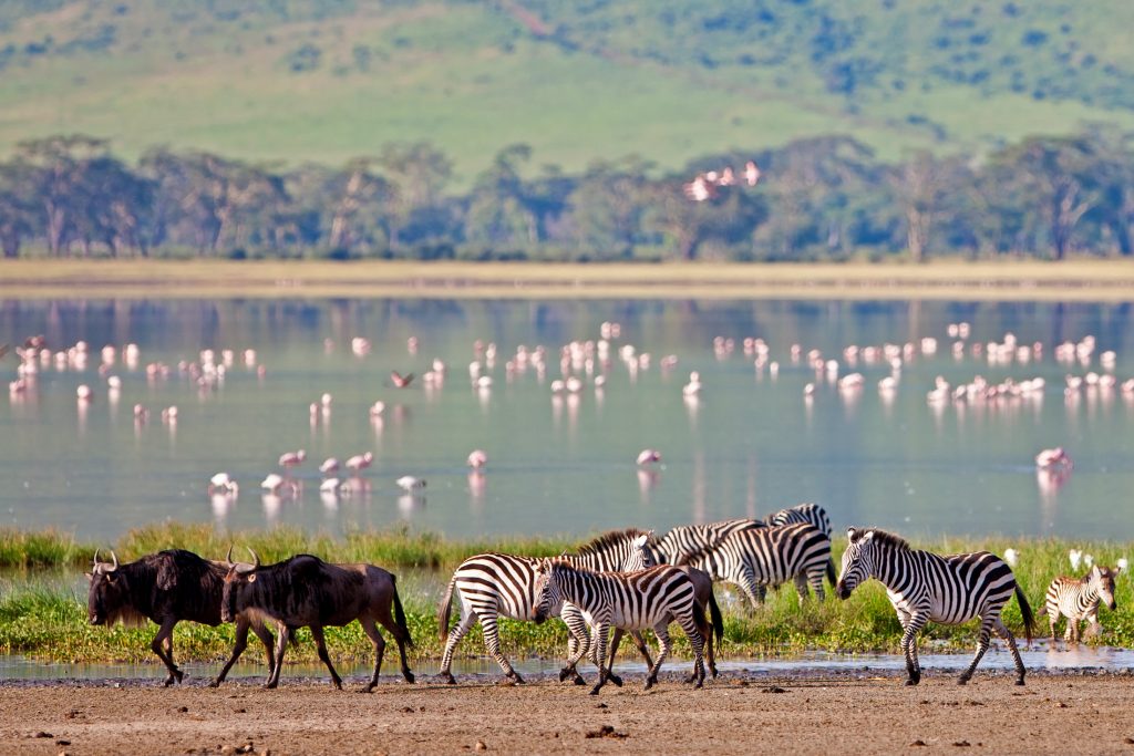 Tanzania safari highlights route