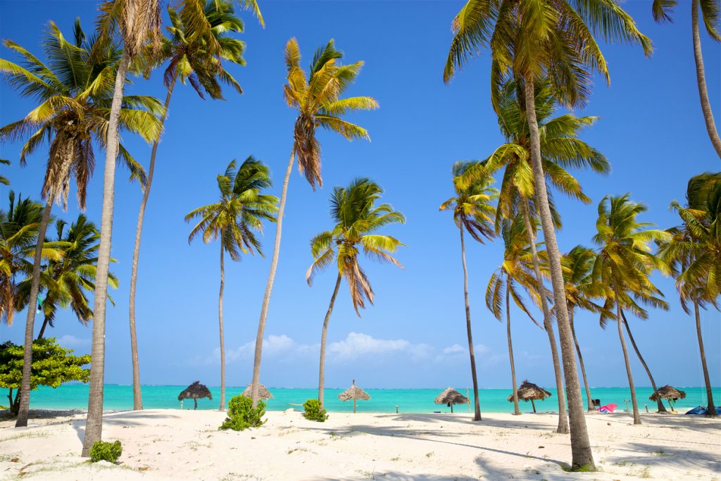 Zanzibar beach and turquoise Indian Ocean water