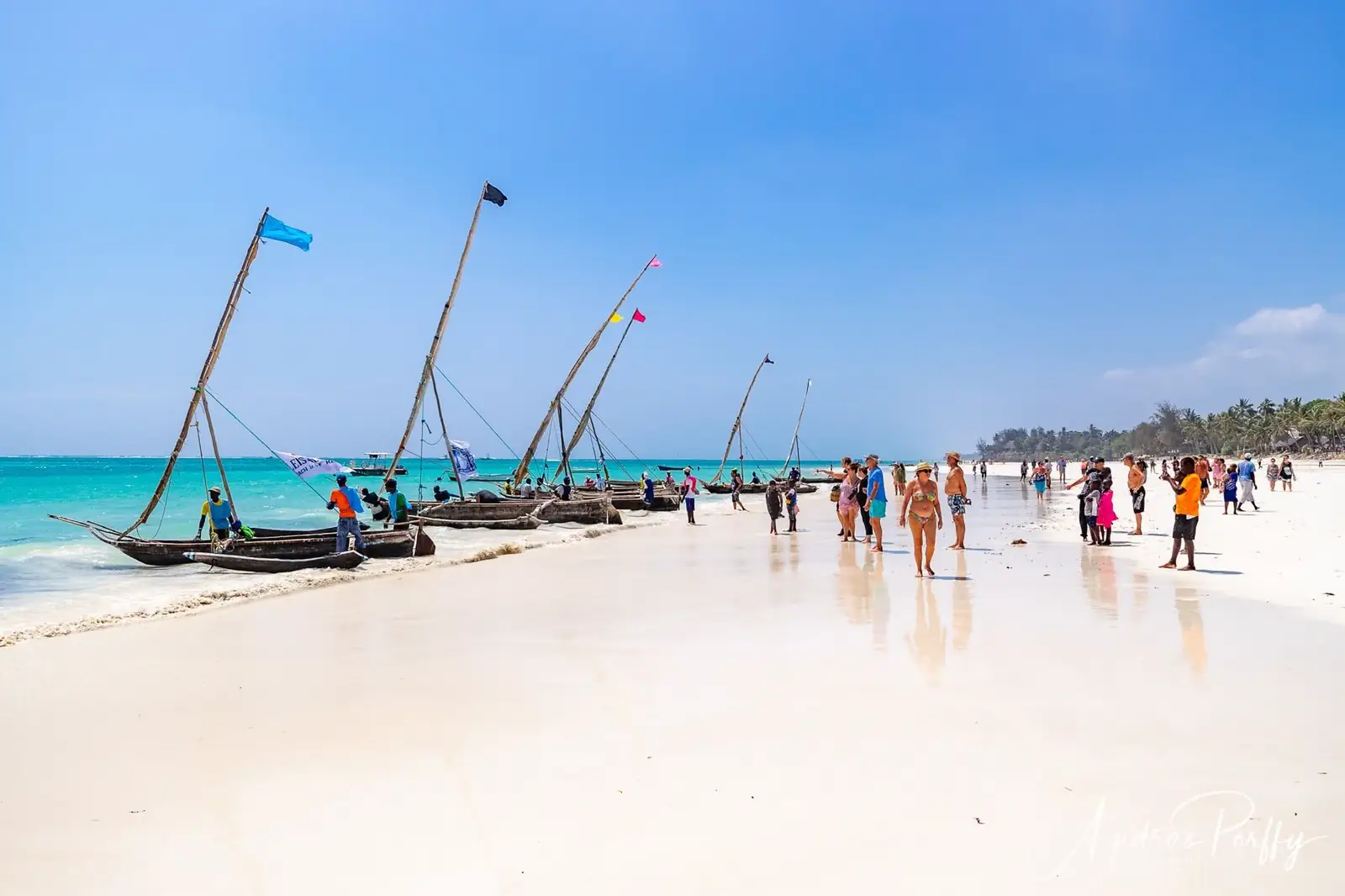 Nyati Safari and Diani Beach route